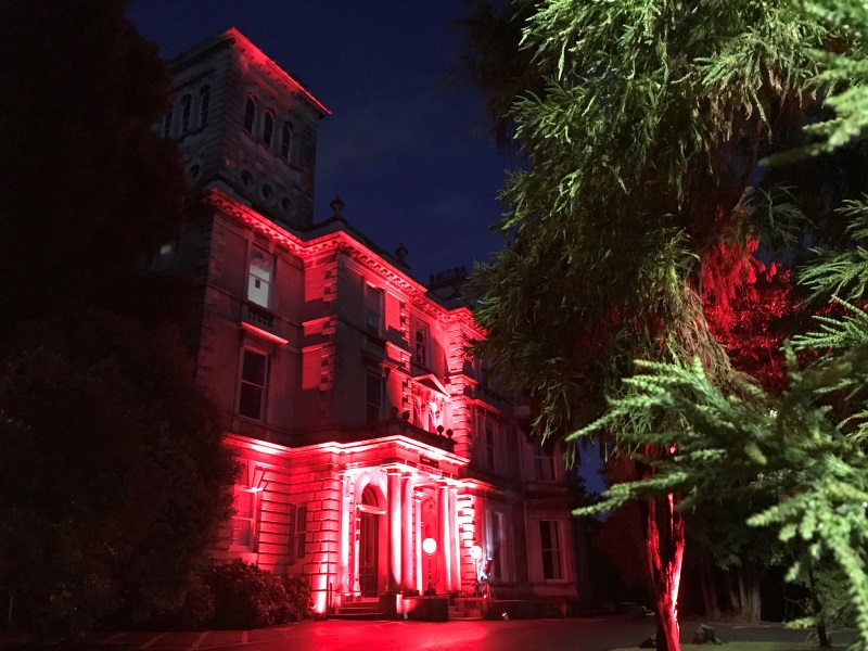 Reed Hall - Light it in Red